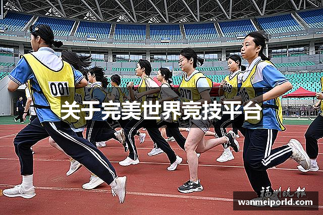 关于完美世界竞技平台